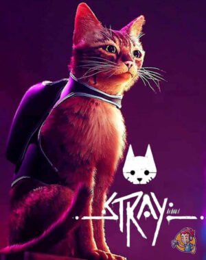 Stray