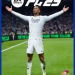 FC 25 Standard Edition